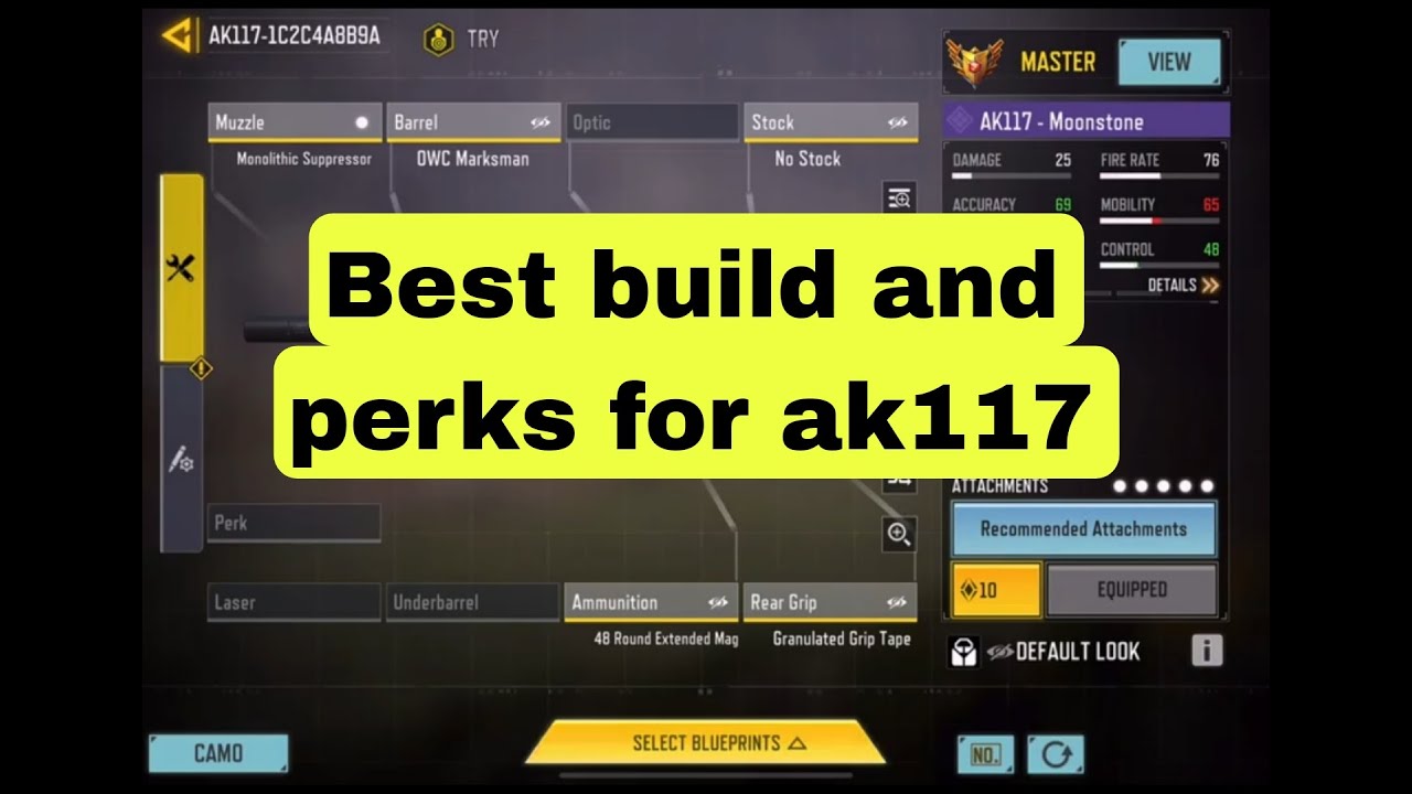 Best build and perks for ak117 