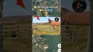 😶‍🌫️🫠 I Found A Vary Strange House In Google Earth and Maps 🗺️!? #shorts #trending #viral #map