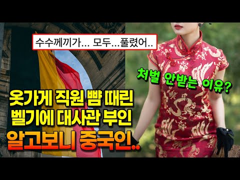 옷가게 직원 뺨 때린 주한벨기에 대사 부인 알고보니 중국인.. 처벌은 안받을 듯