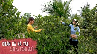 Chân Gà Sả Tắc Chua Cay Sụn Gà Rang Muối - Khói Lam Chiều Chicken Feet Pickled With Lemongrass