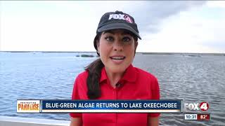 Blue-green algae found on northwest of Lake Okeechobee