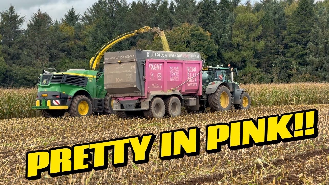 ПОСЛЕДНЯЯ НАША КУКУРУЗА! ПОСЛЕДНЕЕ ПОЛЕ СНЯТО