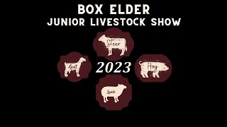Bucket Calf Show (2023)