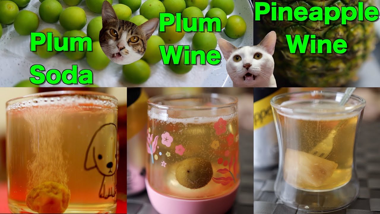 [Hong Kong Recipe] Plum Wine, Plum Soda, Pineapple Wine [Refreshing] | LetsCookHongKongFood