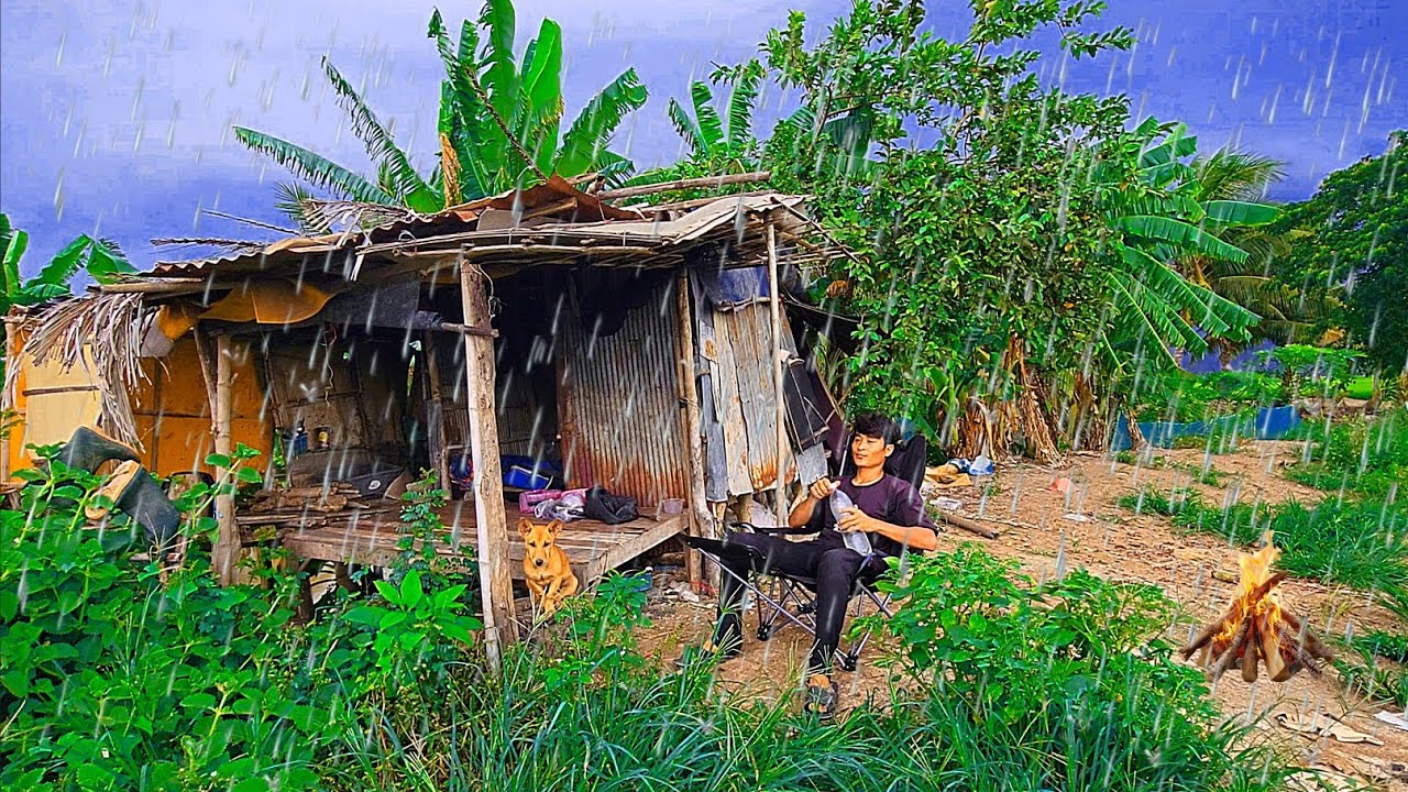 Camping in the rain with the dog at an abandoned house, catching fish and cooking