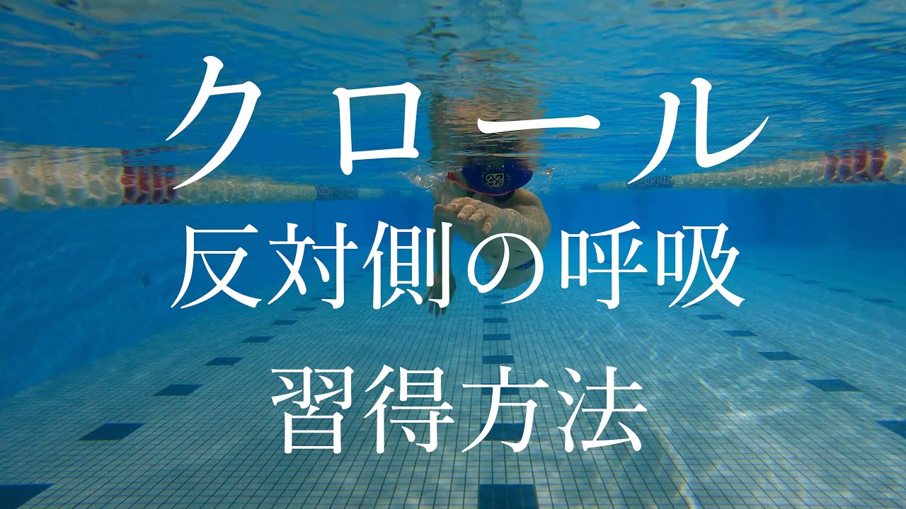 クロールで反対側の呼吸を効率良く覚えるための考え方を提案します【クロール】【水泳】【コラム】