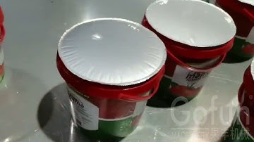 How tomato paste is canned, tomato processing using modern technology