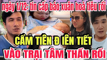 Xuân hoà Đ iên Nặng Cẩm Tiên Cho Đi Trại Rồi... Bích Phương Và 4 Con Nhận Tin Nóng...
