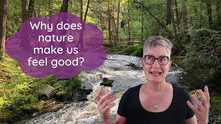Why Does Nature Makes Us Feel Good?