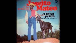 Download Lagu La mujer cariñosa -  Joseito Mateo MP3 Download Lagu La mujer cariñosa -  Joseito Mateo MP3
