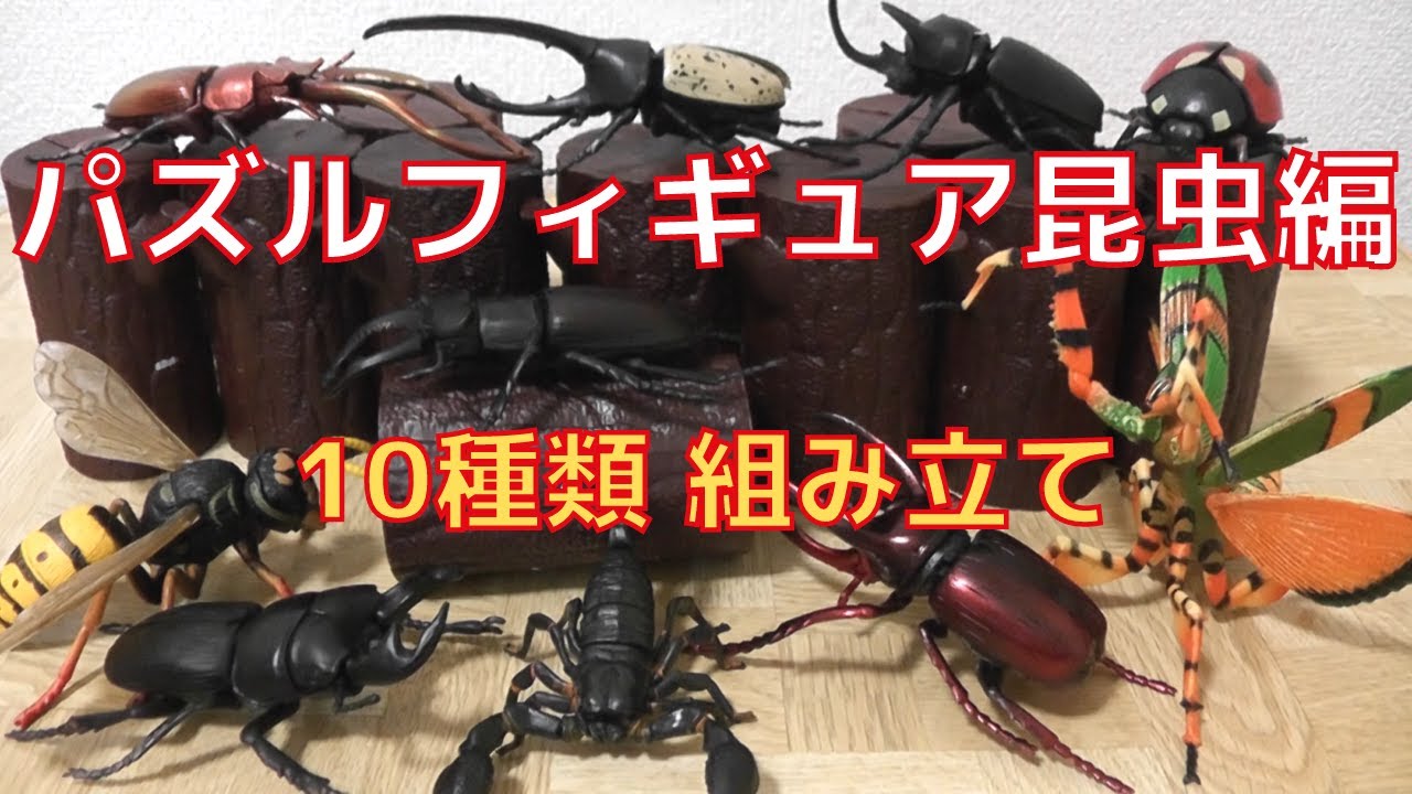 パズルフィギュア昆虫編 ヘラクレスなど10種の虫を組み立てます Youtube パズルフィギュア昆虫編 ヘラクレスなど10種の虫を組み立てます Youtube