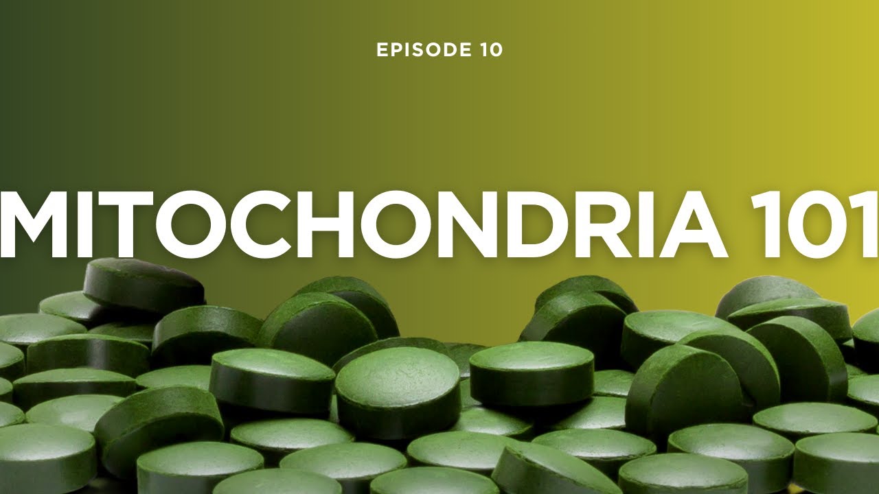 Mitochondria 101: How to Stop Free Radical Damage with These Simple Hacks!