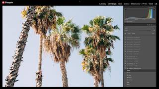 إعدادات Lightroom مسبقة مجانية "High Noon" من Presetpro.com | مظهر فيلم Agfa Vista Plus screenshot 1