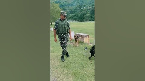 FuFa ji Assistant commandant 🙏 #crpf #shorts #viral #video #sscgd #gd #army #sarkari #resukt