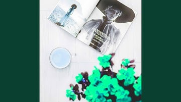 Dashing Backdrops for Fresh Vibes