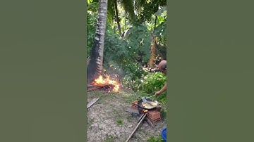 Cá Lóc Nướng Cá Tai Tượng Chiên Xù