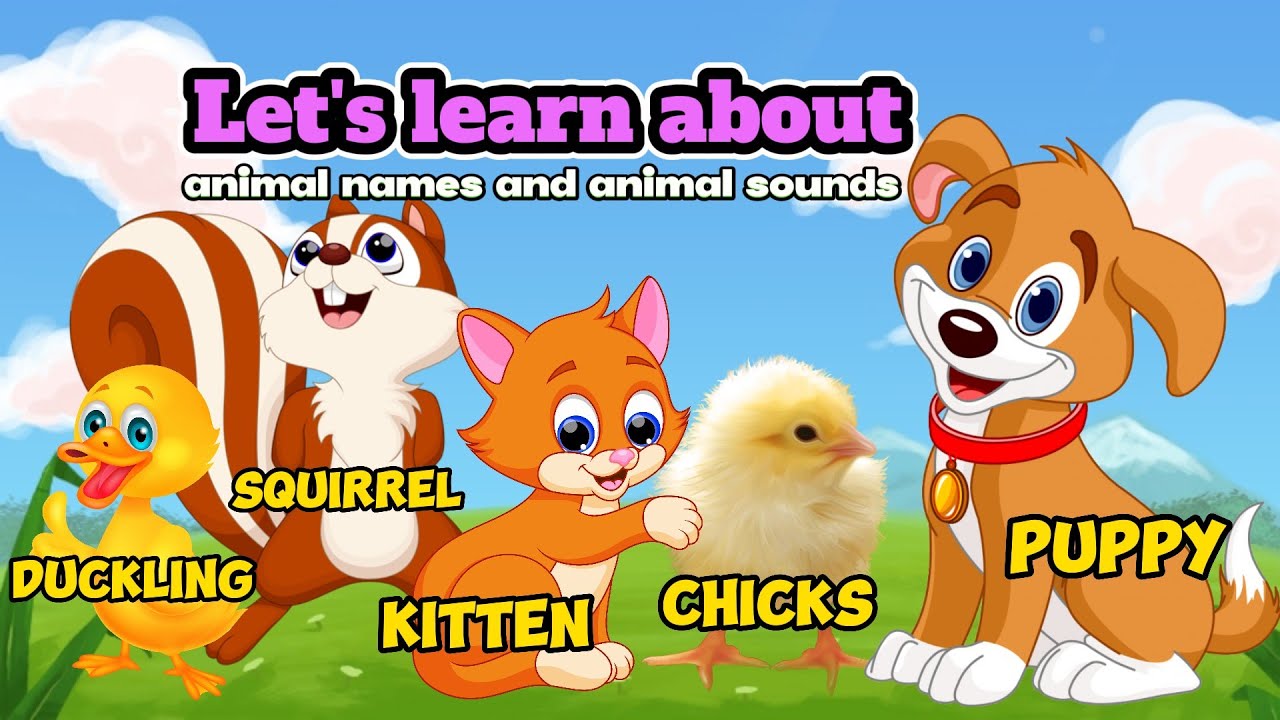 animal sounds and names