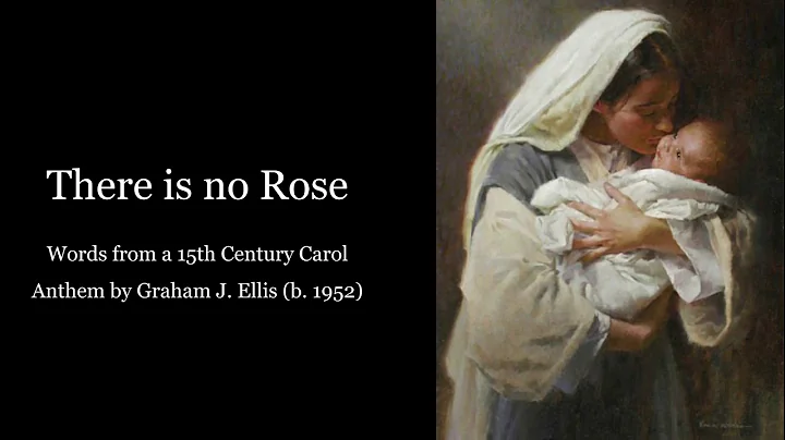 There is No Rose - Graham Ellis
