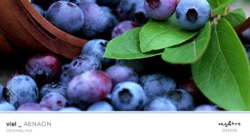 VieL - Aenaon [SGE006]