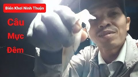 Câu Mực Đêm Trên Vùng Biển Mũi Dinh Sơn Hải