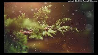 Blind Guardian - The Bard's Song: In the Forest | 432hz