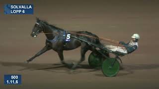 Vidéo de la course PMU PRIX VIVID WISE AS