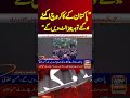 If Pakistan's 'cockroaches' unite, they will turn everything upside down, Naqvi #cockroach #shorts