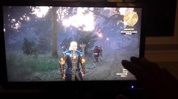 Witcher Mouse lag problem