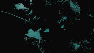 Commodo x Rocks FOE - Uninvited (Official Video)