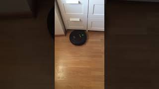 IMG 7902 1