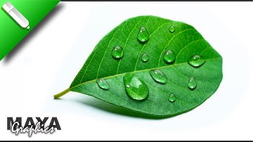 Water Drop Effect in Corel draw | How to Create Water Drop | Coreldraw tutorial | Maya Graphics