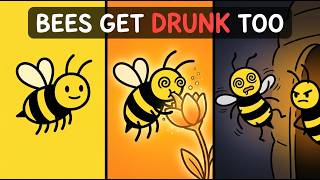 Why Bees Get Drunk (And How They Are Punished)