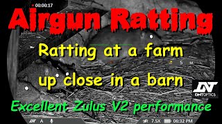 Ratting At A Farm Up Close In A Barn. Excellent Zulus V2 Performance.
