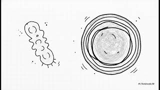 Module 1   Microbiology, Sterility and Regulatory Foundations