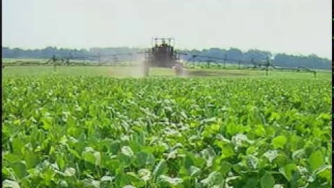 AIM Command in action.mpg