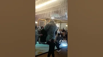 يا بودي ايوة يا قلبي 