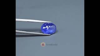 BSGR-21