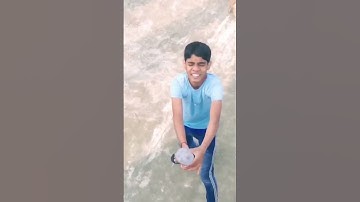 how to make rocket with plastic bottle? shorts #learnandfun #waterrocket #scienceexperiment