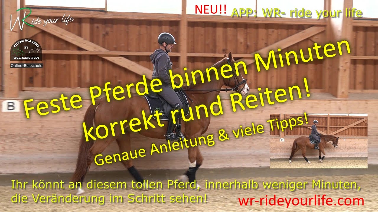 F182 Laufende Pferde rund, an die Hand und in Anlehnung Reiten lernen. Reiterhilfen genau erklärt