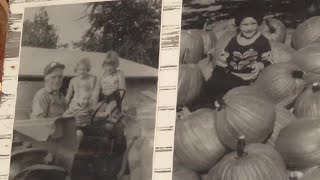Pumpkins are a passion for Illinois orchard