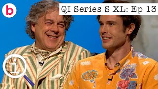 QI XL Series S Episode 13 FULL EPISODE | With Ed Gamble, Lou Sanders & Sindhu Vee