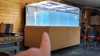 No more Scratches! 800-Gallon Tank Update - Fish Room Update Ep. 142
π± Visit https://aquariumcoop.com/ to buy aquarium plants, lights, fish food, and more from Aquarium Co-Op
Join our Drama Free Fish Forum here: https://forum.aquariumcoop.com/topic/57-welcome-to-the-care-forum-look-here-first/
The 800-gallon monster aquarium got polished to remove all the Mbu puffer teeth scratches, and it looks so much better on video. Now its time to reset the tank with bleach to get rid of the black beard algae and java moss. Cory also talks about the other, most recent changes to the fish room while feeding one of his favorite fry and shrimp foods to all the tanks.
π₯ Become a member to get access to perks: https://www.youtube.com/channel/UCNJuJfXCKNWu4-VifYixs8A/join
π Want in-depth articles on freshwater aquariums? Visit our blog: https://aquariumcoop.com/blogs/aquarium
WHO WE ARE
At Aquarium Co-Op, we focus on your aquariums. We specialize in freshwater tropical fish, aquatic plants, and the overall betterment of the freshwater fish keeping hobby. Our goal is to help you with your first pet fish and graduate you to an advanced aquarium hobbyist. If youd like to take it to the next level, subscribe to Aquarium Co-Op and check out our weekly videos.
Cory McElroy is employed by Aquarium Co-Op LLC. He also owns Aquarium Co-Op LLC. Therefore, all content is sponsored by Aquarium Co-Op.
#Aquariumcoop #Aquariumfish #Fishtank No more Scratches! 800-Gallon Tank Update - Fish Room Update Ep. 142