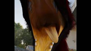 Sergal eating endengered species