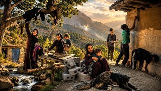 A Day of Hard Work in the Mountains | Building a House, Cooking Food & Watering Trees 🏡🍲🌳