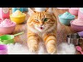 Orange Cat Kitchen Chaos Unleashed! 😹🍊
