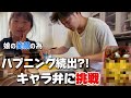 【大苦戦】練習もして挑んだキャラ弁!にパパ納得いかず、娘からもまさかの要望で今後どうなる?w