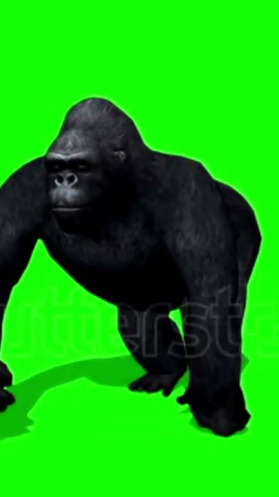 ||green screen monkey||short video||trending||mr zeeshan 1224