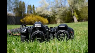 Canon 5D Mark II vs T3i - Best Budget DSLR?