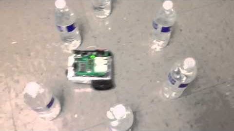 Boebot  roaming with whiskers