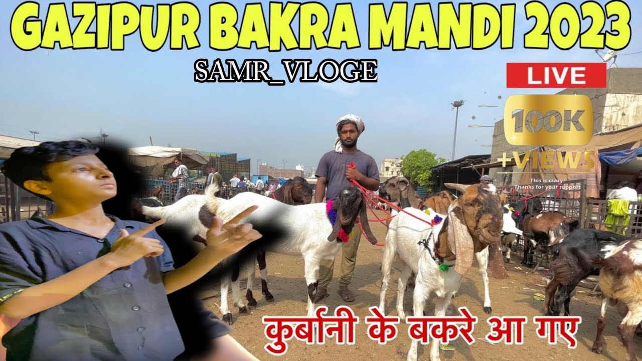 GHAZI PUR BAKRA MANDI ™[#viral]5,0000HAZAR KE BAKRE - YouTube